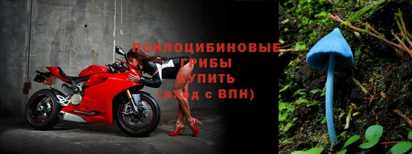 не бодяженный Лагань